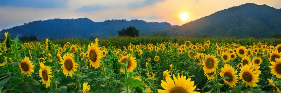 Система контроля воздуха