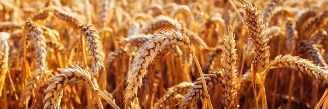 Система контроля температуры